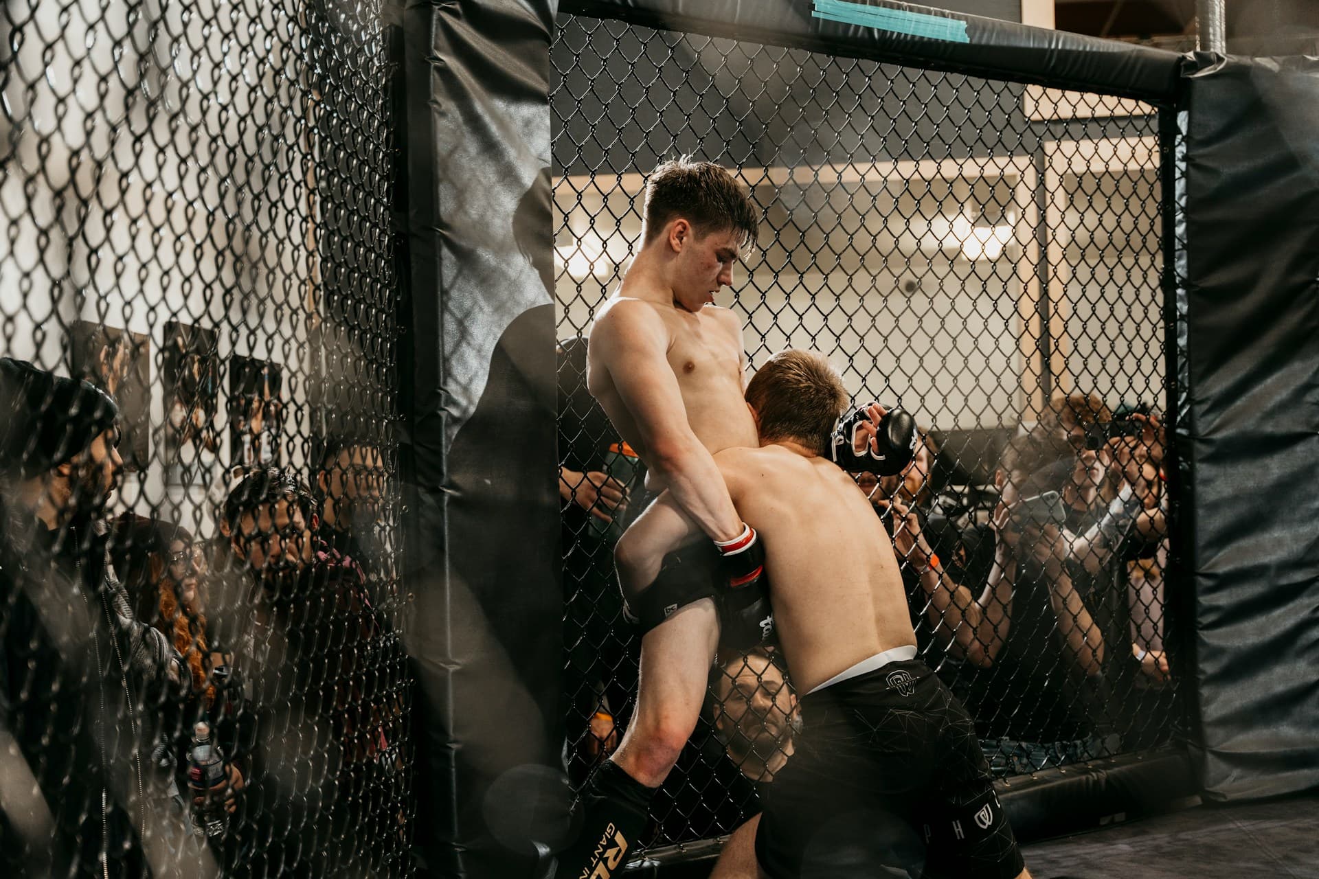 MMA (Artes Marciales Mixtas)